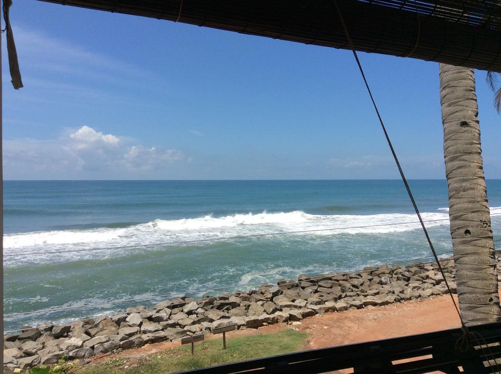 Palm Tree Anex Otel Varkala Oda fotoğraf